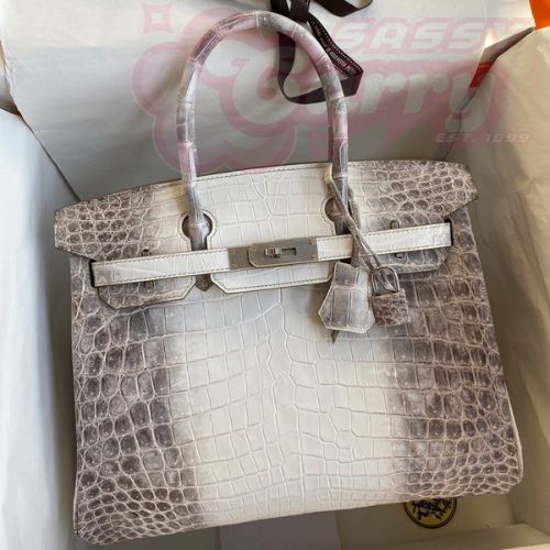 Hermes Birkin 25 Retourne Bag In Himalaya Niloticus Crocodile Skin